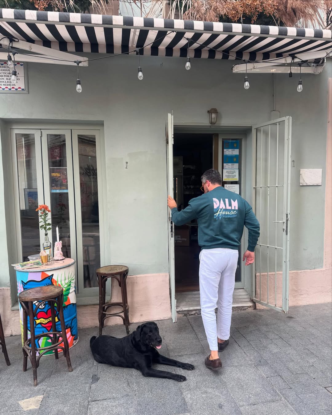 Sudadera Verde Palm House - Imagen 2