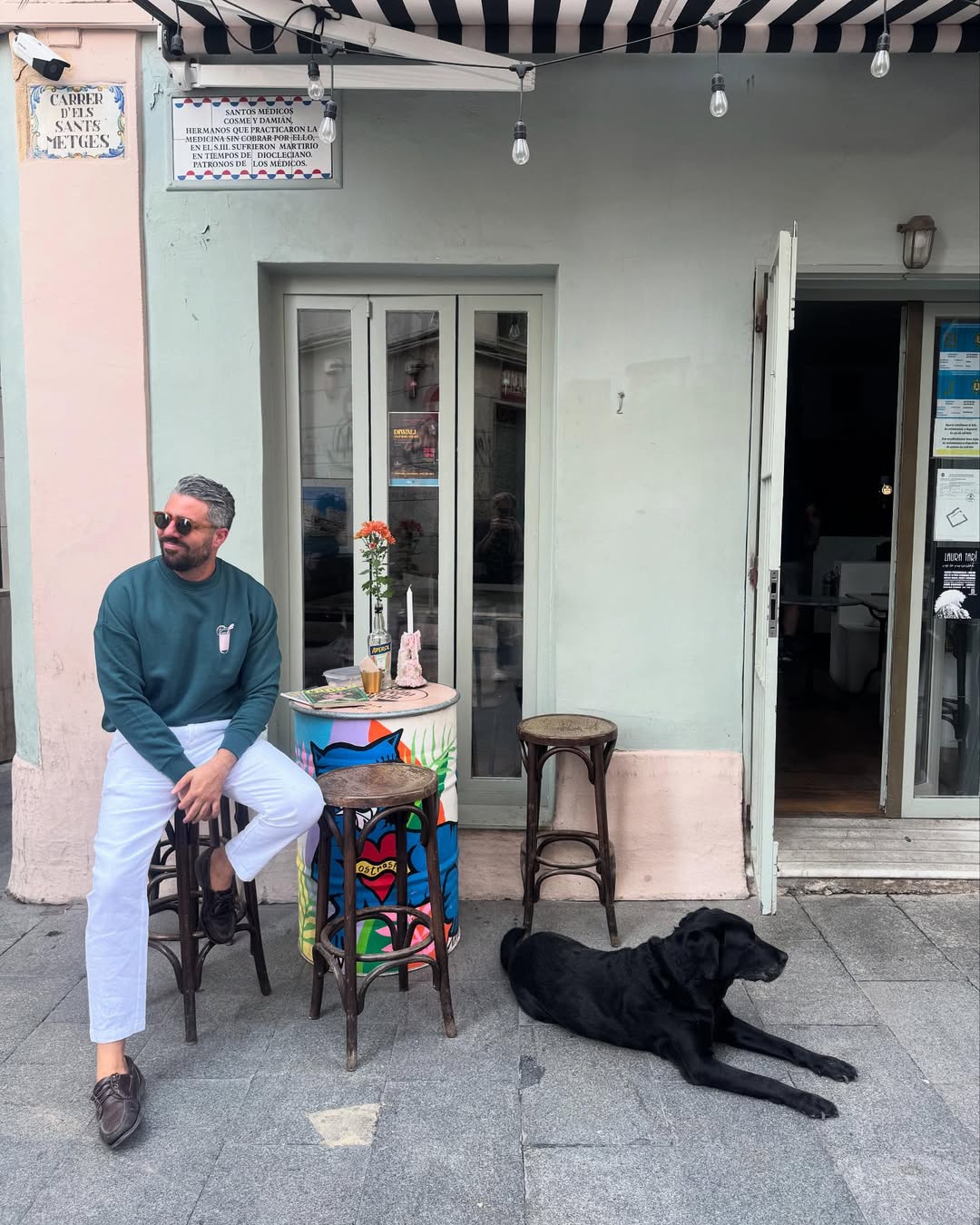 Sudadera Verde Palm House